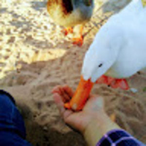 Meet your Posher, Marcella